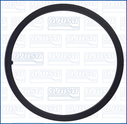 Seal, thermostat (01407700)