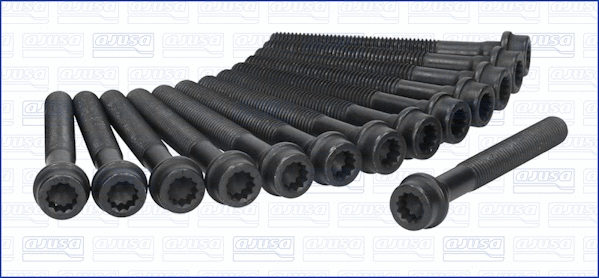 Cylinder Head Bolt Set (81006300)
