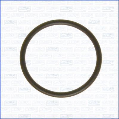 Gasket, intake manifold (16049500)