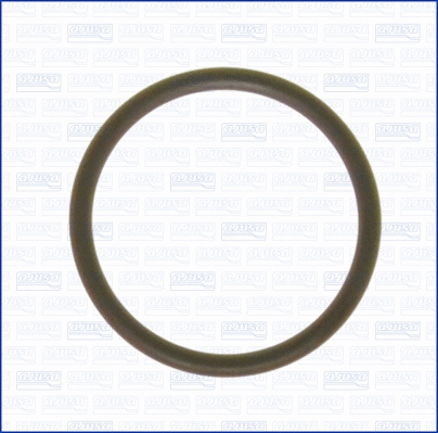 Seal Ring, coolant pipe (16023400)