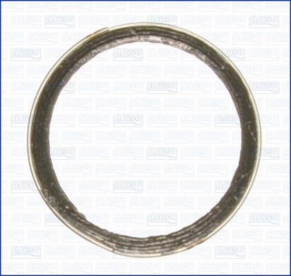 Seal Ring, exhaust pipe (19003500)