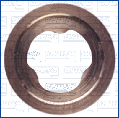Seal Ring, nozzle holder (01358400)