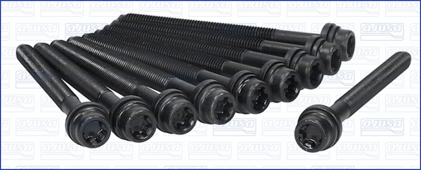 Cylinder Head Bolt Set (81019300)