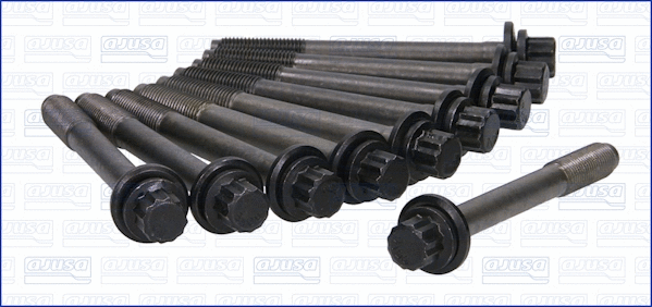 Cylinder Head Bolt Set (81029800)