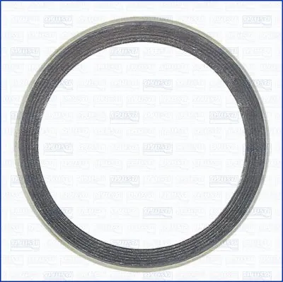 Seal Ring, exhaust pipe (19002100)