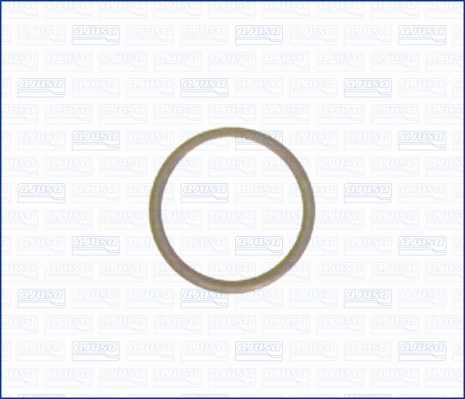 Seal Ring, oil drain plug (22003700)