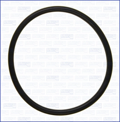 Seal, thermostat (16513500)