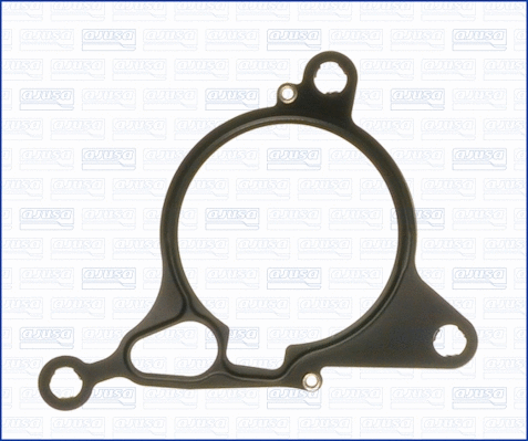 Gasket, vacuum pump (01200400)