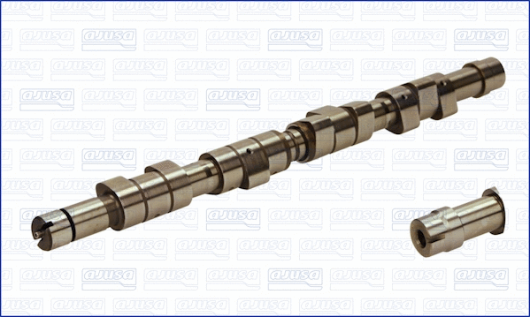 Camshaft (93007300)