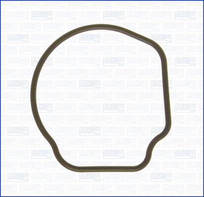 Seal, thermostat (01096800)