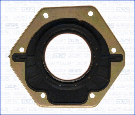 Shaft Seal, crankshaft (71000300)