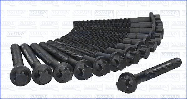 Cylinder Head Bolt Set (81028300)