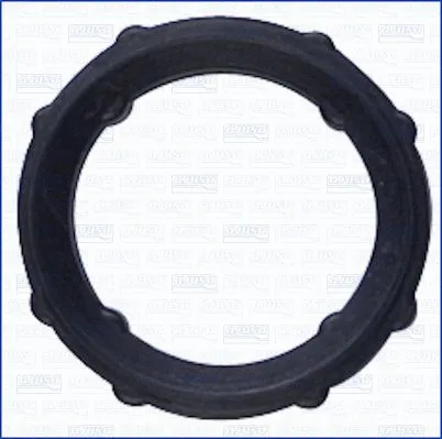 Gasket, timing case (01196900)