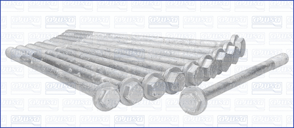 Cylinder Head Bolt Set (81000800)
