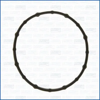 Seal, thermostat (01224800)