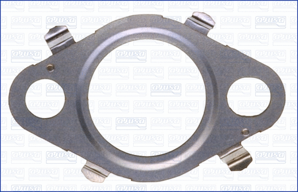Gasket, EGR valve (01258500)