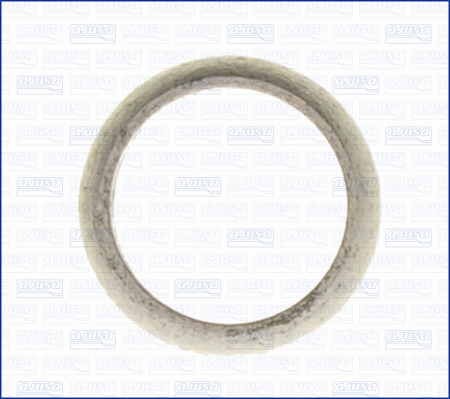Gasket, exhaust pipe (01174400)