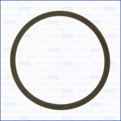 Seal Ring, oil cooler (24018400)