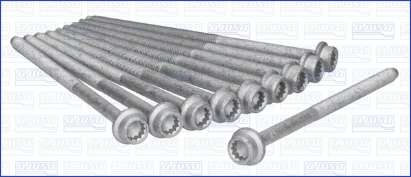Cylinder Head Bolt Set (81028500)