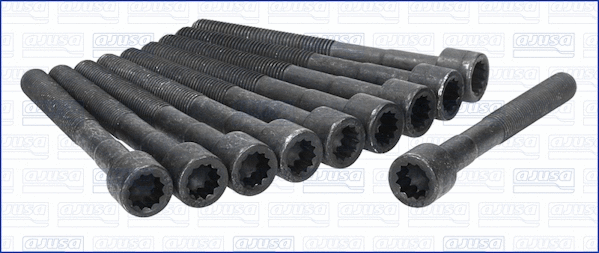 Cylinder Head Bolt Set (81013300)