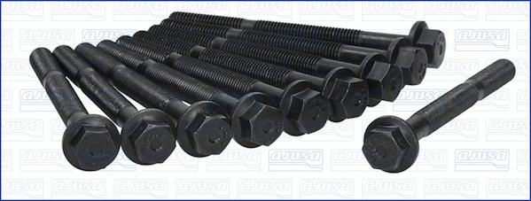 Cylinder Head Bolt Set (81007600)