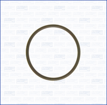 Gasket, intake manifold (16024300)