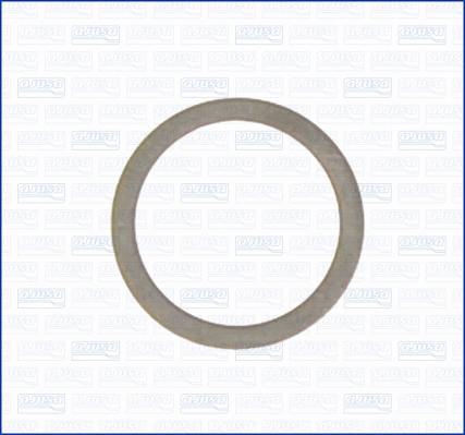 Seal Ring, oil drain plug (22008700)