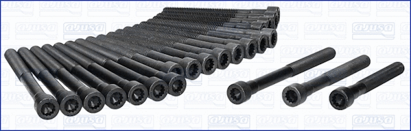 Cylinder Head Bolt Set (81005600)