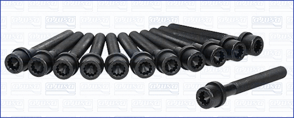 Cylinder Head Bolt Set (81000500)