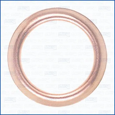 Seal Ring, oil drain plug (17000100)