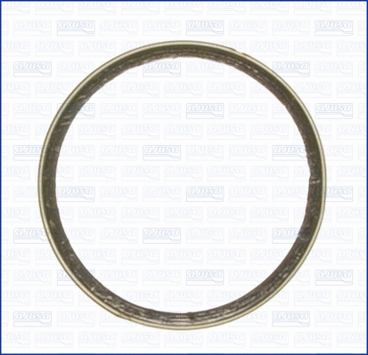 Seal Ring, exhaust pipe (19004000)