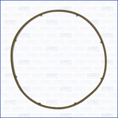 Seal, thermostat (01163000)