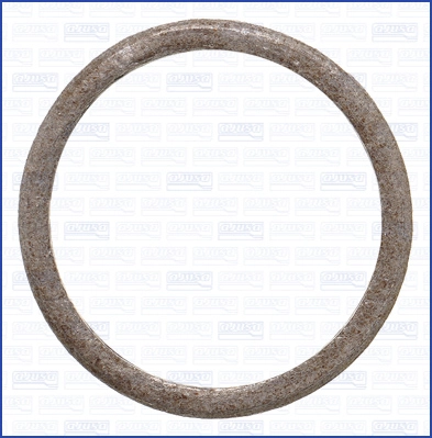 Seal Ring, charger (01558800)
