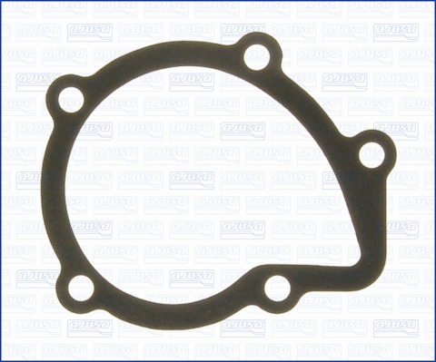 Gasket, water pump (00212700)