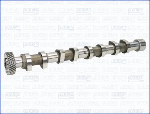 Camshaft (93176700)