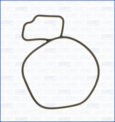 Gasket, water pump (01055200)