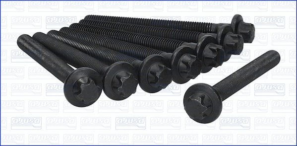 Cylinder Head Bolt Set (81040500)