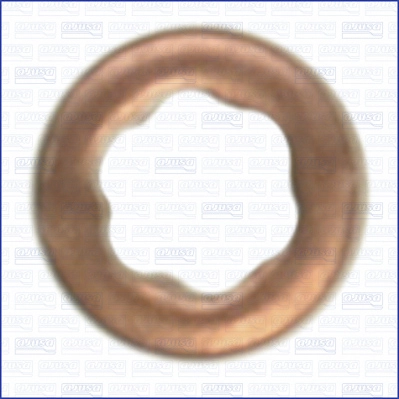 Seal Ring, nozzle holder (01258300)