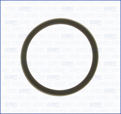 Seal, thermostat (00975700)