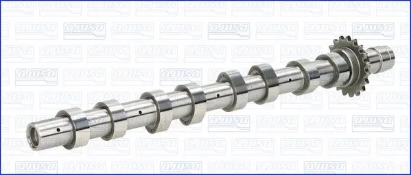 Camshaft (93123100)