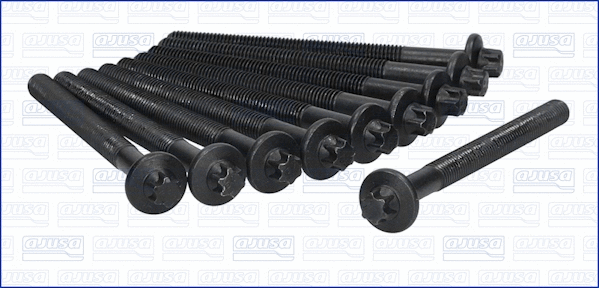 Cylinder Head Bolt Set (81024900)
