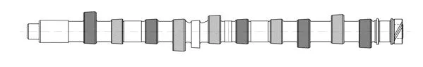 Camshaft (93038300)