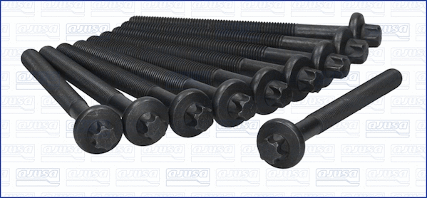 Cylinder Head Bolt Set (81022300)