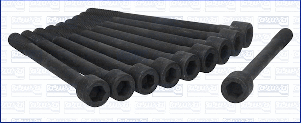 Cylinder Head Bolt Set (81009000)