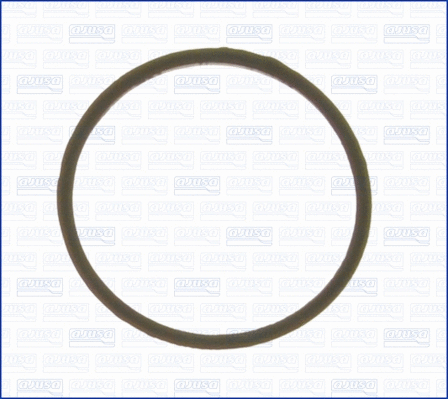 Seal, thermostat (00538300)