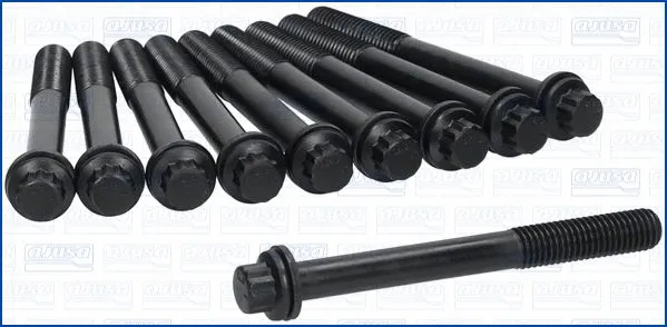 Cylinder Head Bolt Set (81066100)