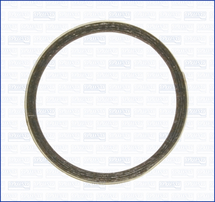 Seal Ring, exhaust pipe (19004300)