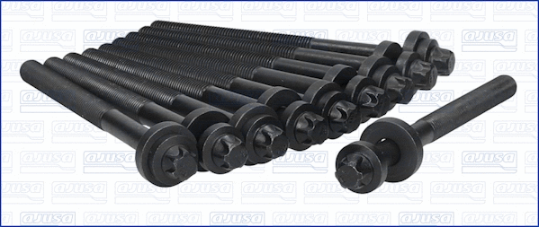 Cylinder Head Bolt Set (81018400)