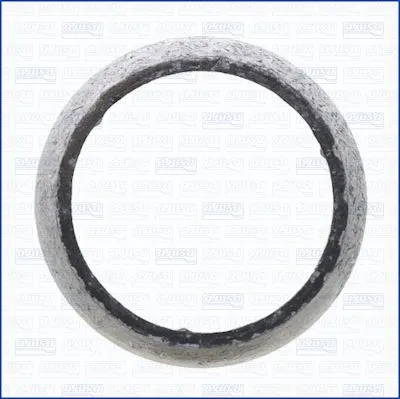 Gasket, exhaust pipe (01365300)
