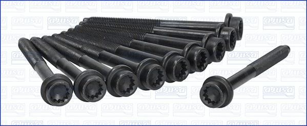 Cylinder Head Bolt Set (81033500)